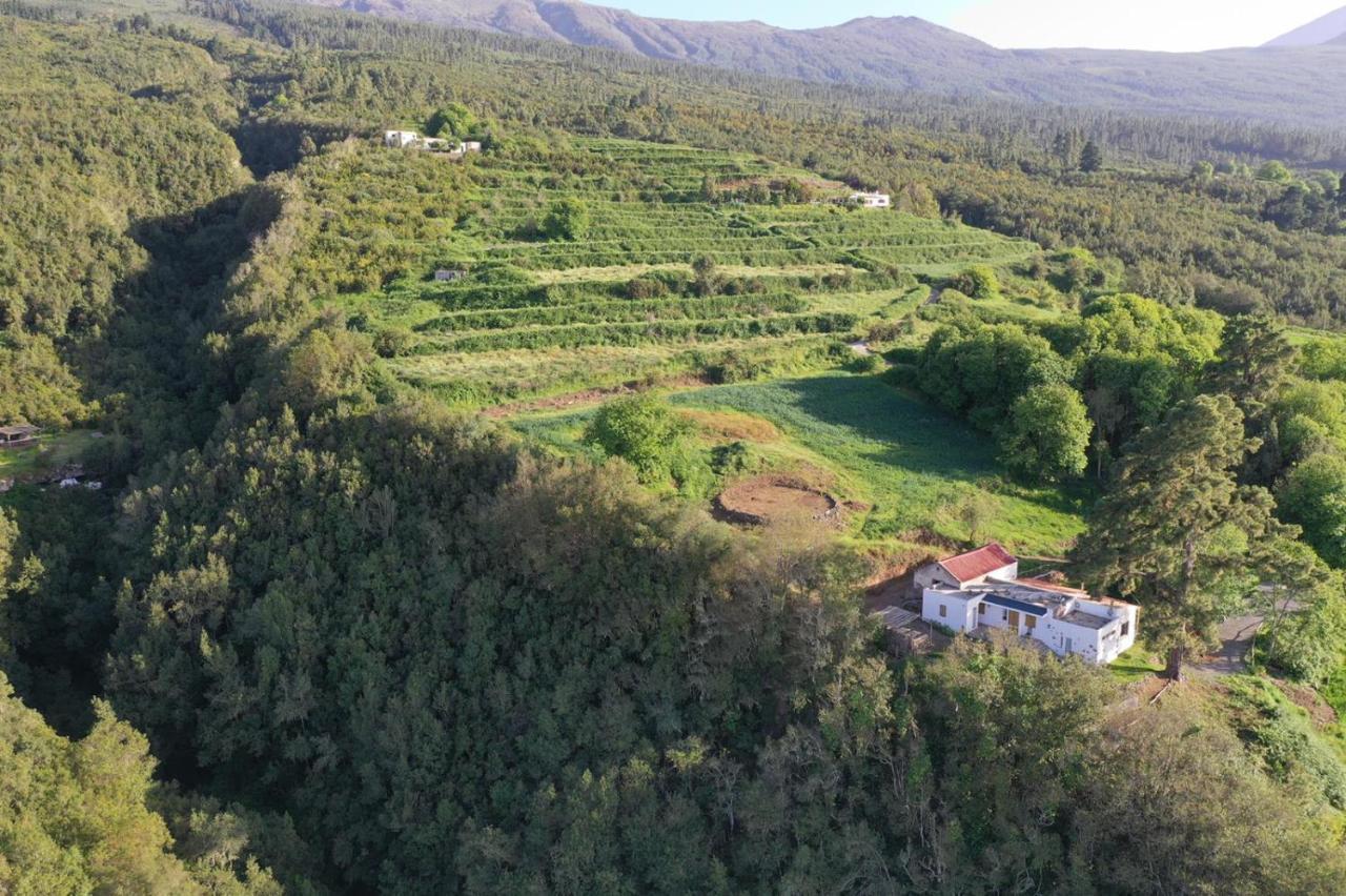 El Pino Centenario 8 La Orotava Εξωτερικό φωτογραφία