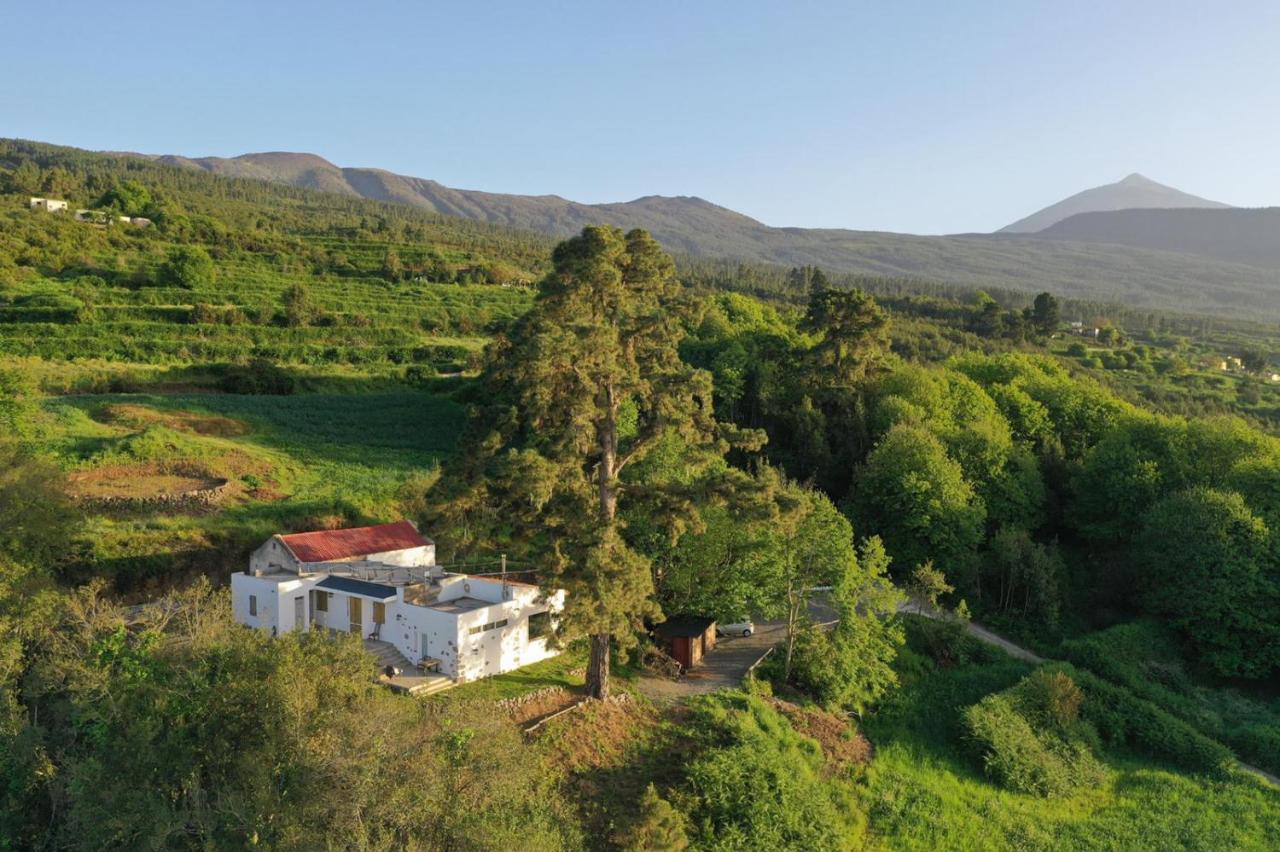 El Pino Centenario 8 La Orotava Εξωτερικό φωτογραφία